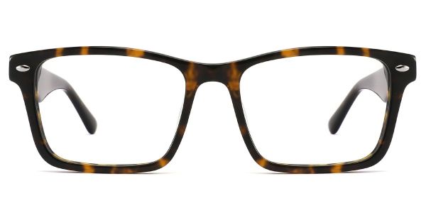 KZFOO E251 L Tortoise